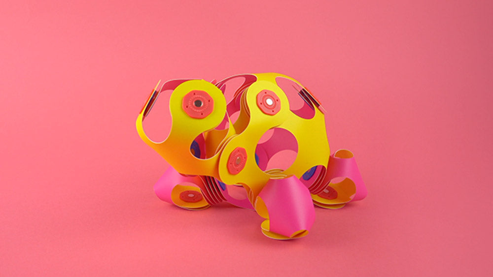 Turtle