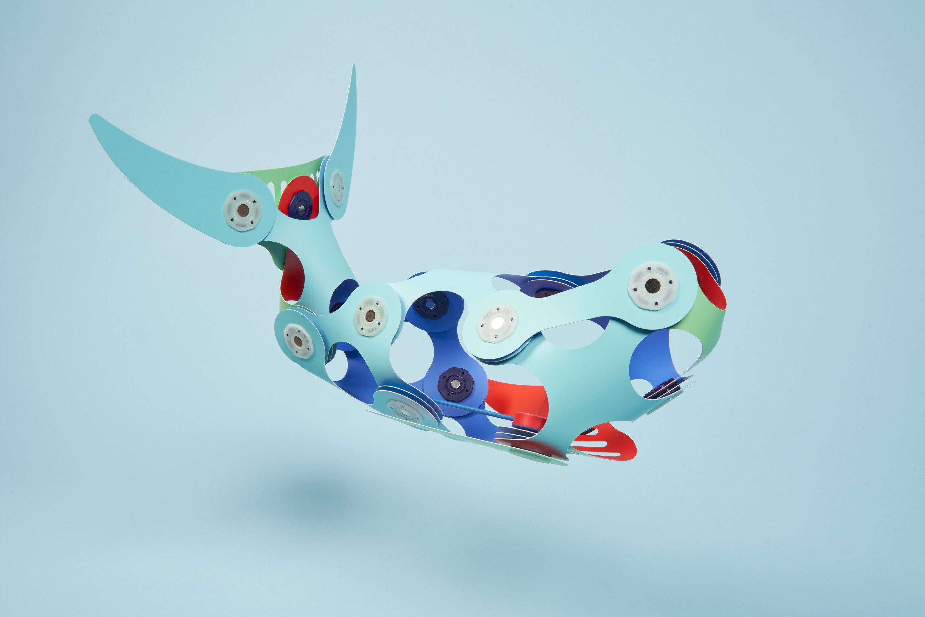 Whale