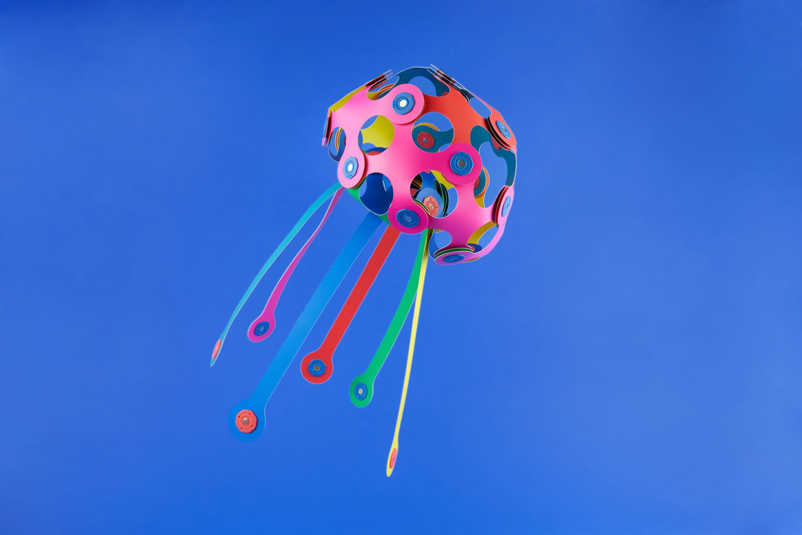 Jellyfish