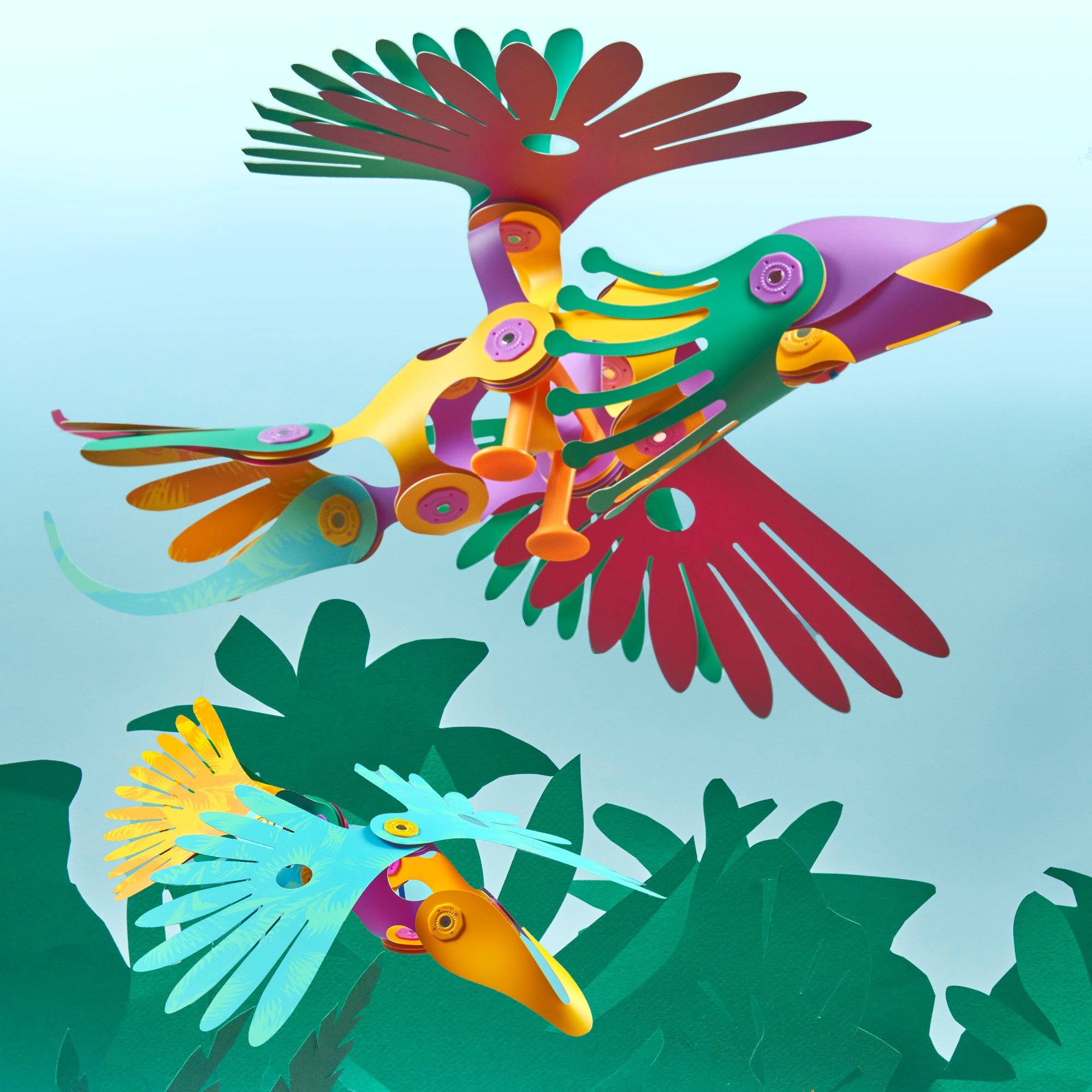 Jungle Birds Pack
