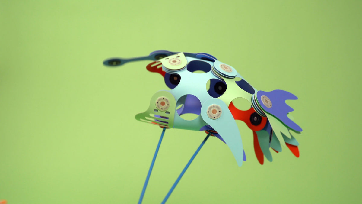 Anglerfish