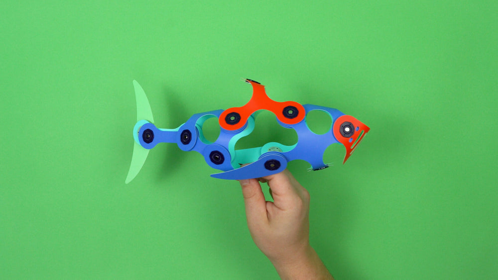 Shark