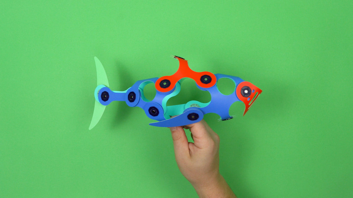 Shark