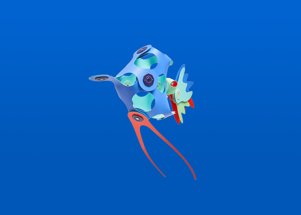 Angelfish