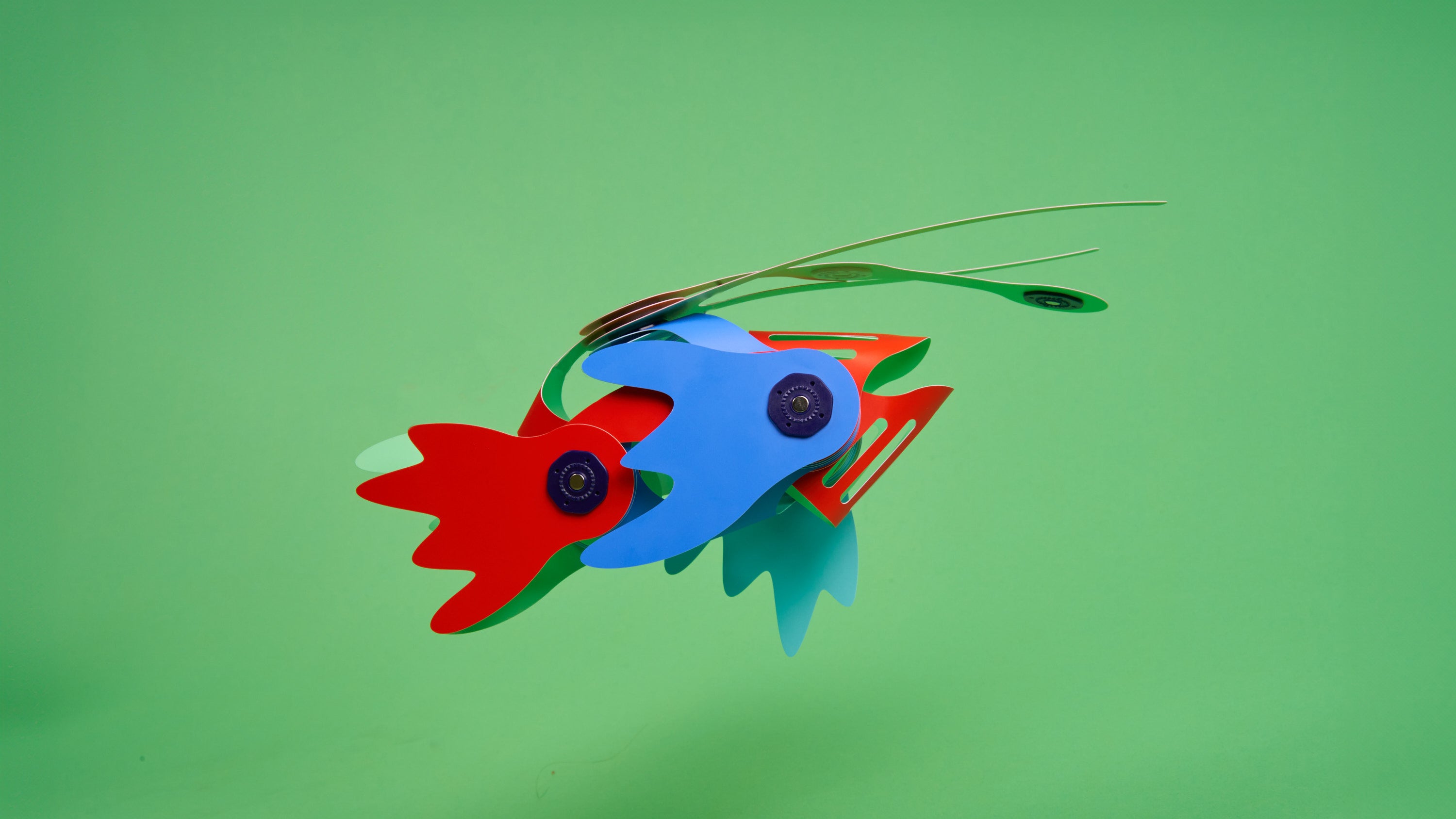 Mini Angler Fish