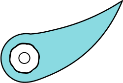 Fin